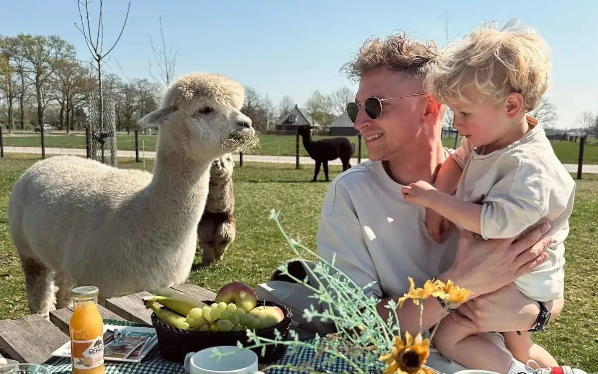 Alpaca Lunch
