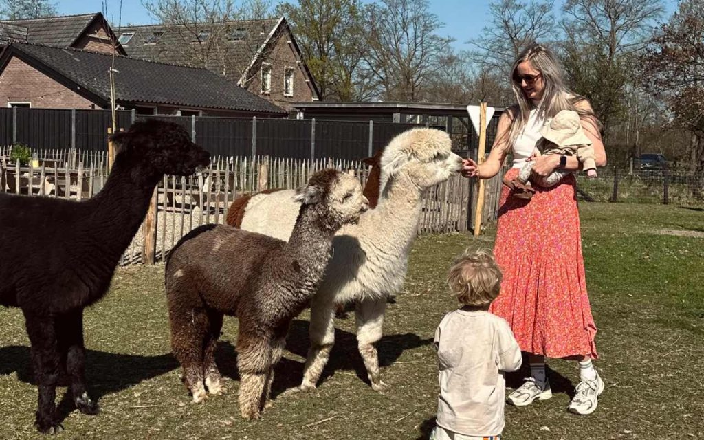 Alpaca Activiteiten Met Kinderen