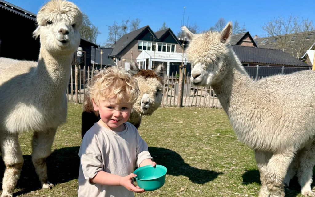 Meet Feed Greet Kind